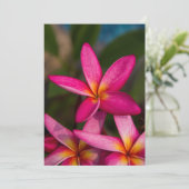 Invitation Plumeria arrière - plan de fleurs exotiques (Debout devant)