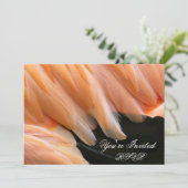 Invitation Plumes de Flamant rose_ (Debout devant)