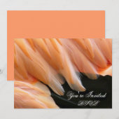 Invitation Plumes de Flamant rose_ (Devant / Derrière)