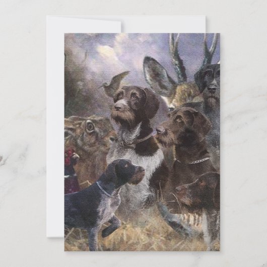 Invitation  Pointer allemand à poil dur (Devant)