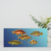 Invitation Poisson Coloré (Debout devant)