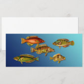 Invitation Poisson Coloré (Devant / Derrière)
