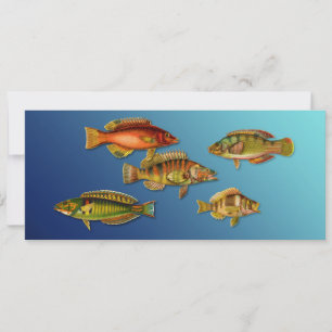 Invitation Poisson Coloré