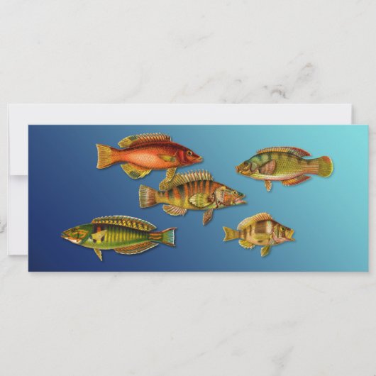 Invitation Poisson Coloré (Devant)