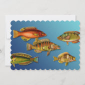 Invitation Poisson coloré (Devant)