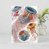 Invitation Poisson vintage par Ernst Haeckel, Discomedusae (Debout devant)