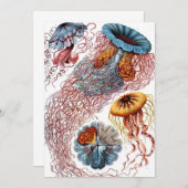 Invitation Poisson vintage par Ernst Haeckel, Discomedusae (Devant / Derrière)