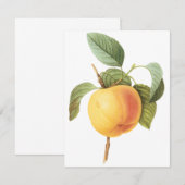 Invitation Pomme Calville par Pierre Redoute (Devant / Derrière)