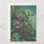 Invitation Pommes rouges dans la nature de l'arbre (Dos)