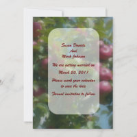 Pommes Rouges Sur L'arbre Mariage Enregistrer La D