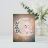 Invitation Poodle mignon | Grand cadeau pour Summer Solstice (Debout devant)