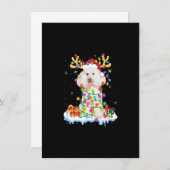 Invitation Poodle Père Noël Reindeer Noël Chemise Drôle Chien (Devant / Derrière)