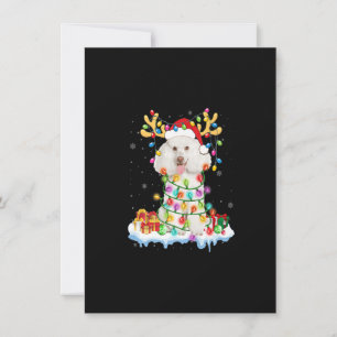 Invitation Poodle Père Noël Reindeer Noël Chemise Drôle Chien
