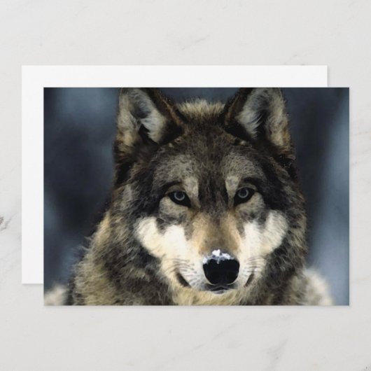 Invitation Portrait de Loup (Devant / Derrière)