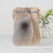 Invitation Portrait du cheval blanc (Debout devant)