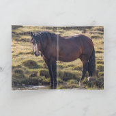 Invitation Portrait of Bello Greeting Card (Intérieur)