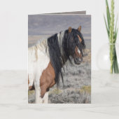 Invitation Portrait of Zephyr Wild Horse Greeting Card (Devant)