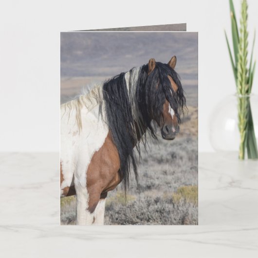 Invitation Portrait of Zephyr Wild Horse Greeting Card (Devant)