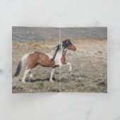 Invitation Portrait of Zephyr Wild Horse Greeting Card (Intérieur)