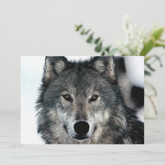 Invitation Portrait Wolf (Debout devant)