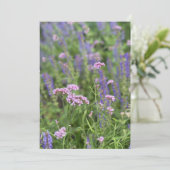 Invitation Post card  (Debout devant)