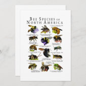 Invitation Poster de l'espèce d'abeilles en Amérique du Nord (Devant / Derrière)
