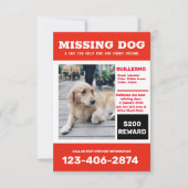 Invitation Poster photo de chien manquant (Devant)