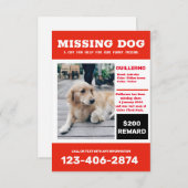 Invitation Poster photo de chien manquant (Devant / Derrière)