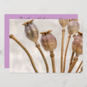 Invitation Pots de paille (Devant / Derrière)