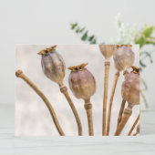 Invitation Pots de paille (Debout devant)