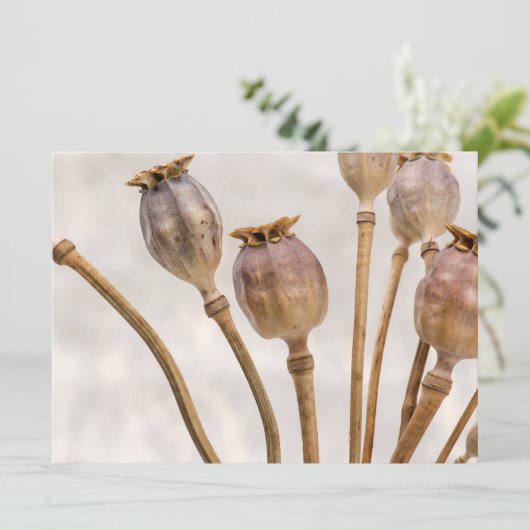 Invitation Pots de paille (Debout devant)