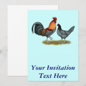 Invitation Poule bleue du Delaware (Devant / Derrière)