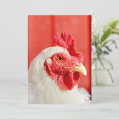 Invitation Poulet de ferme (Debout devant)