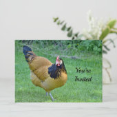 Invitation Poulet d'or et noir Vorwerk Photo Anniversaire (Debout devant)