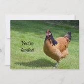 Invitation Poulet noir et or Vorwerk Photo Anniversaire (Devant)