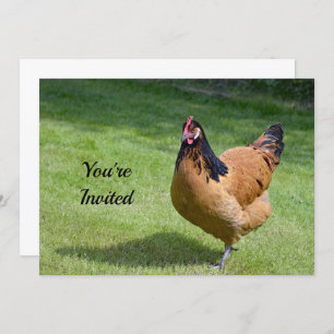 Invitation Poulet noir et or Vorwerk Photo Anniversaire