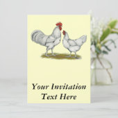 Invitation Poulets blancs Austra (Debout devant)