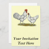 Invitation Poulets blancs Austra (Devant / Derrière)