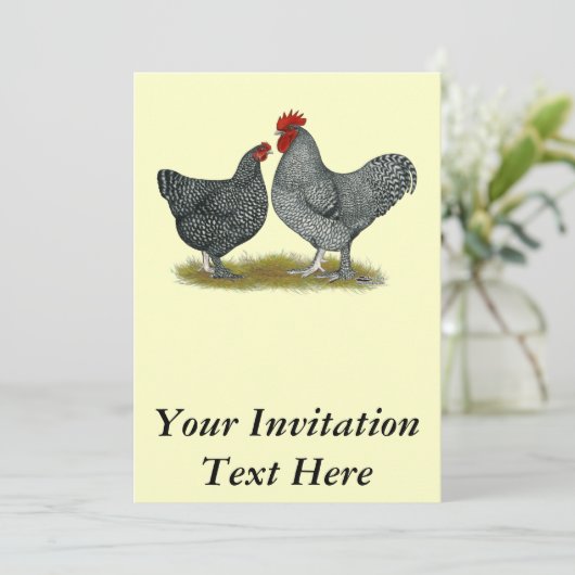 Invitation Poulets de Maline (Debout devant)