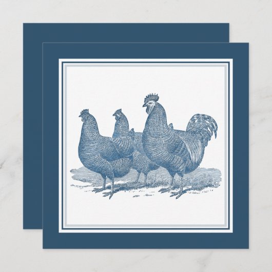 Invitation Poulets de roche de Plymouth Poules de coq bleu an (Devant / Derrière)