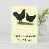 Invitation Poulets géants Jersey (Debout devant)