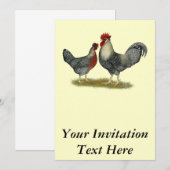 Invitation Poulets Legbar à la crème (Devant / Derrière)