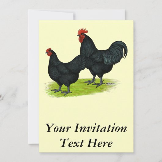 Invitation Poulets noirs Australorp (Devant)