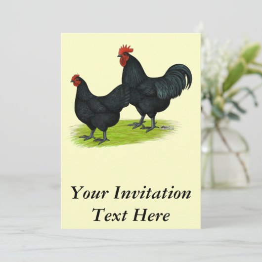 Invitation Poulets noirs Australorp (Debout devant)