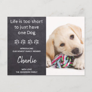 Invitation pour la fête d'un nouveau chiot