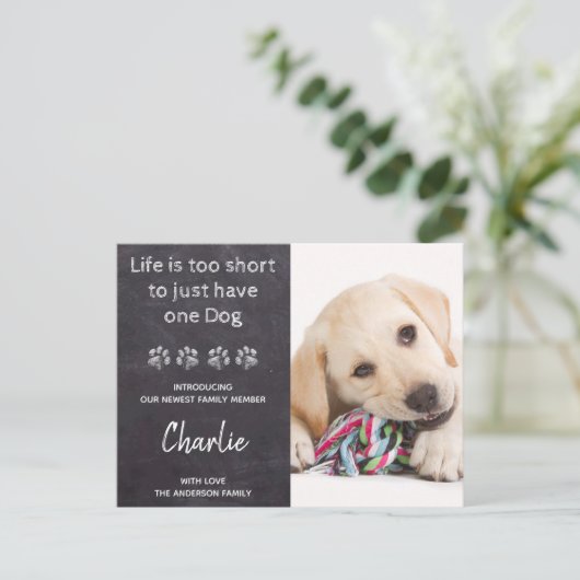 Invitation pour la fête d'un nouveau chiot (Debout devant)