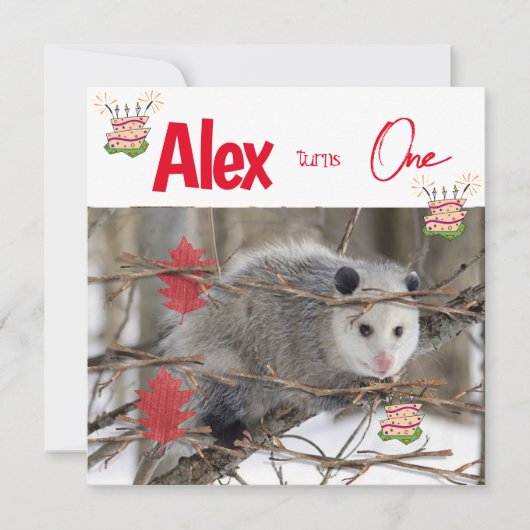 Invitation pour le premier anniversaire des enfant (Devant)