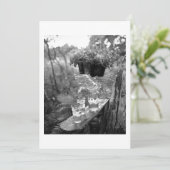 INVITATION POUR SE RETROUVER (Debout devant)