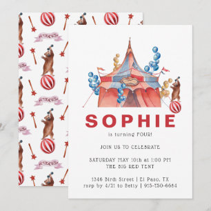 Invitation pour une fête d'anniversaire au Carnava