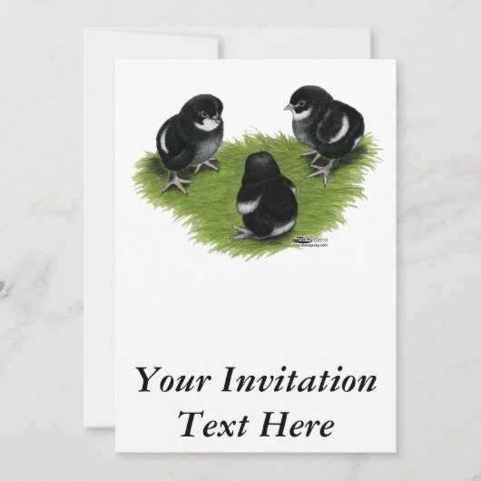 Invitation Poussins Marans Noir Cuivré (Devant)